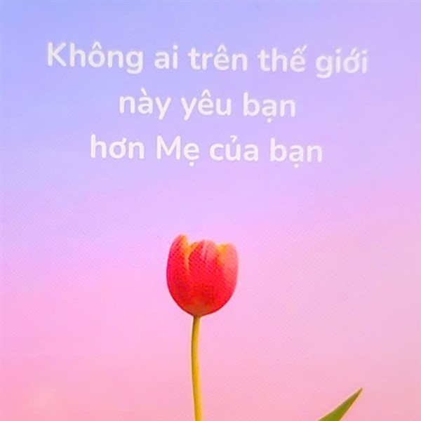 Chị Thoa - Thái Bình